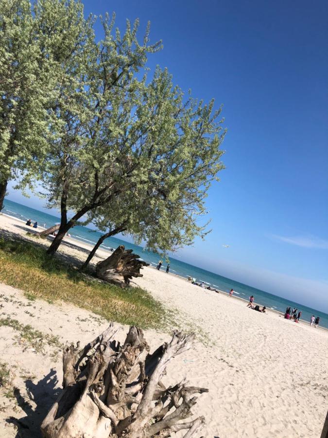 North Spa&Pools Alezzibeach Năvodari Eksteriør billede